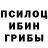 Галлюциногенные грибы мицелий Weekly Daily