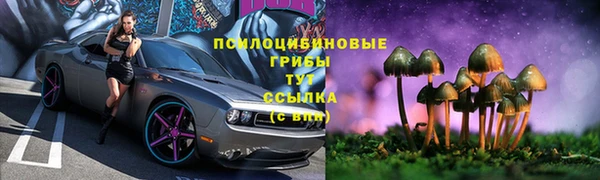 a pvp Алексин