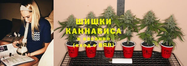 эйфоретик Абаза