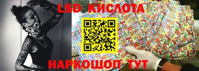 стаф Донской