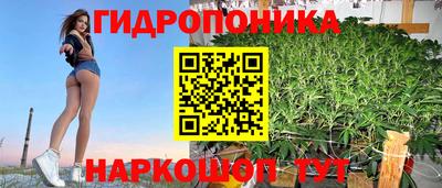 винт Дубна