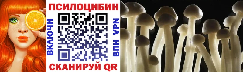 blacksprut ССЫЛКА Костомукша Галлюциногенные грибы MAGIC MUSHROOMS
