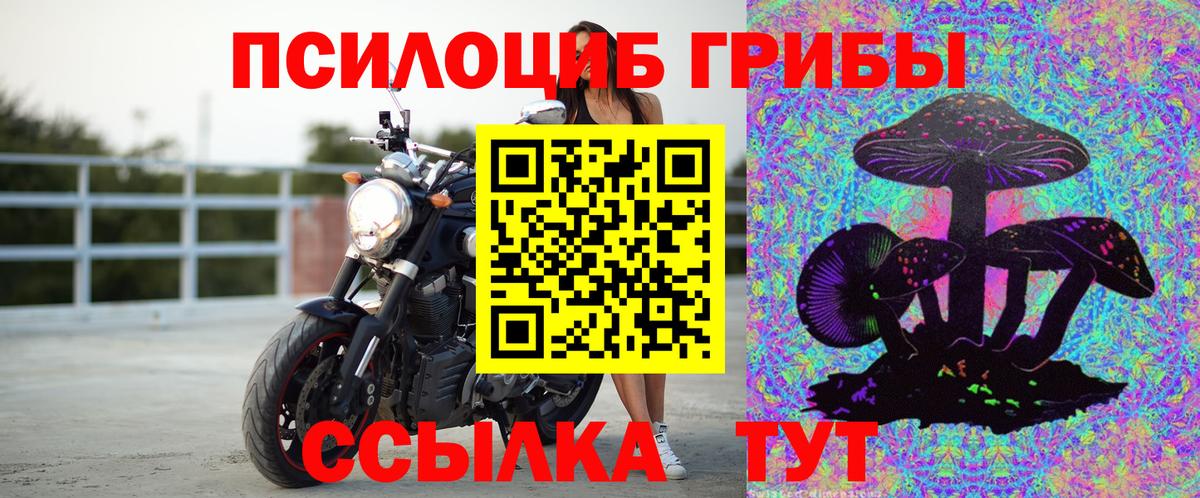 Костомукша  Псилоцибиновые грибы Magic Shrooms  Псилоцибиновые грибы Psilocybe  Вход с VPN 