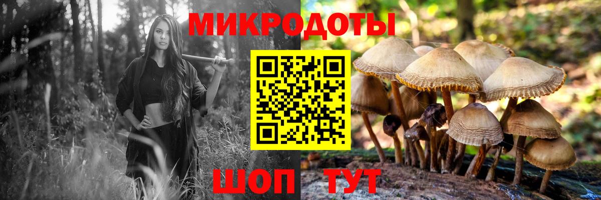 Псилоцибиновые грибы Cubensis Костомукша